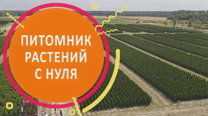 Питомник растений с нуля. Как выйти на самоокупаемость за 4 года?